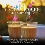 New Good Morning Whatsapp Video Status Download